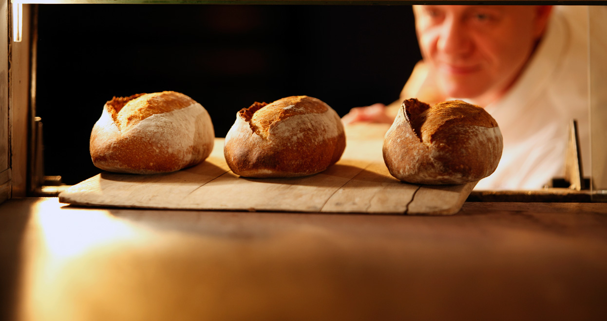 We know everything about sourdoughs!